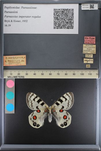 Media type: image;   Entomology 210245